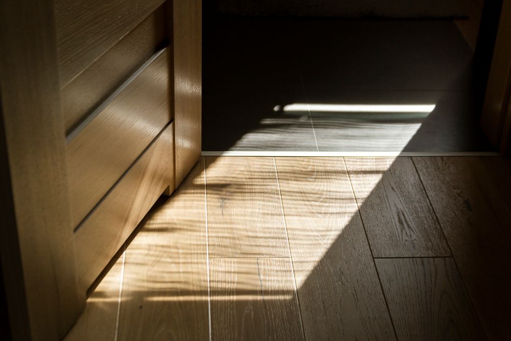 Low winter light raking across a dark wood floor.